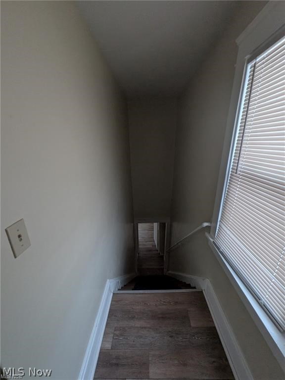 1733 Robindale Street Property Photo 32