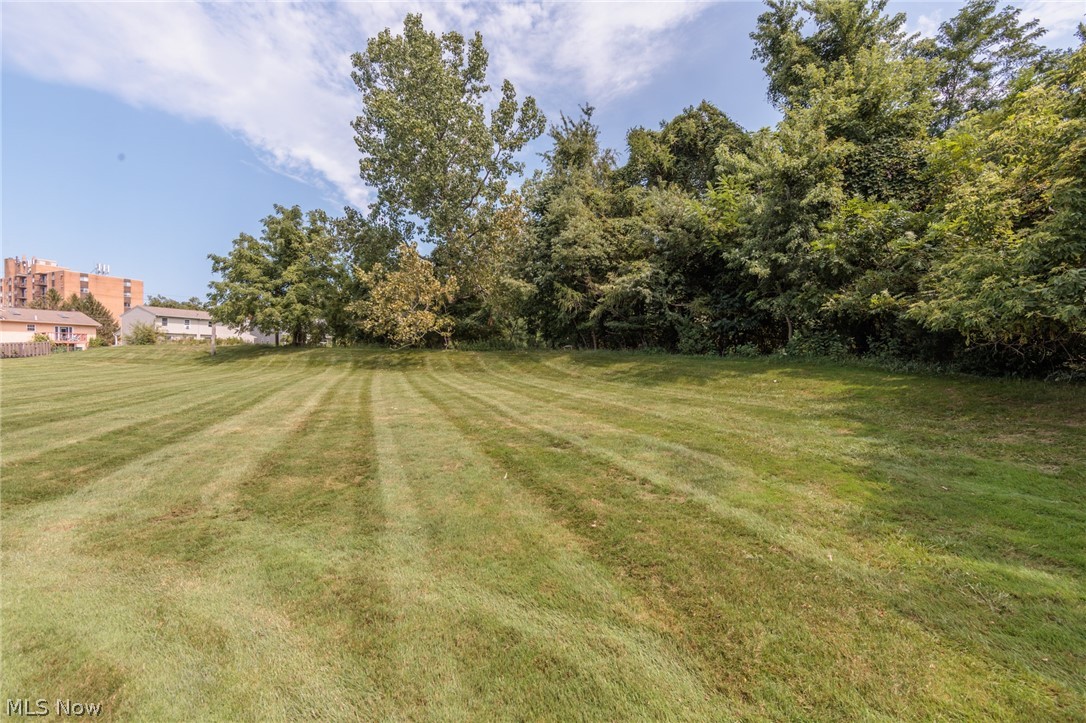 1190 Brookline Place A Property Photo 50