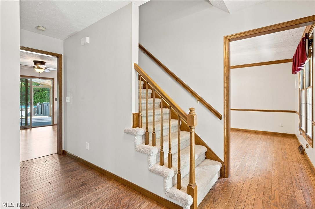 169 Taylor Boulevard Property Photo 7