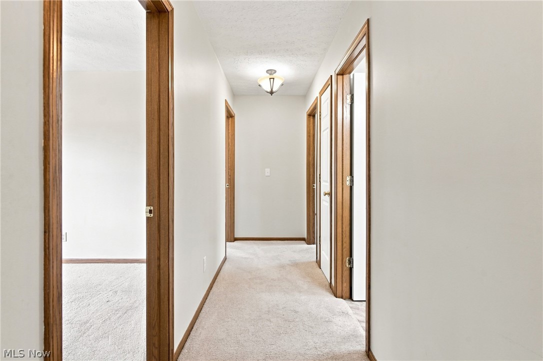 169 Taylor Boulevard Property Photo 25