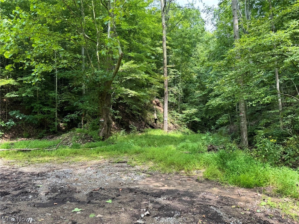 994 Sugarcamp Road Property Photo 39