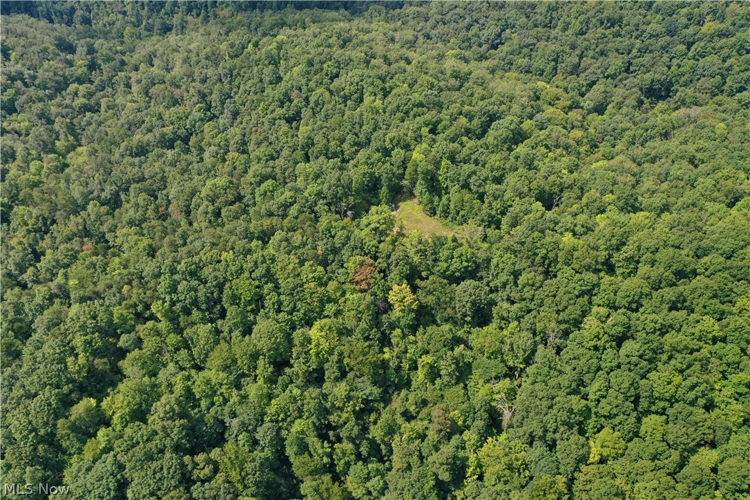 994 Sugarcamp Road Property Photo 42