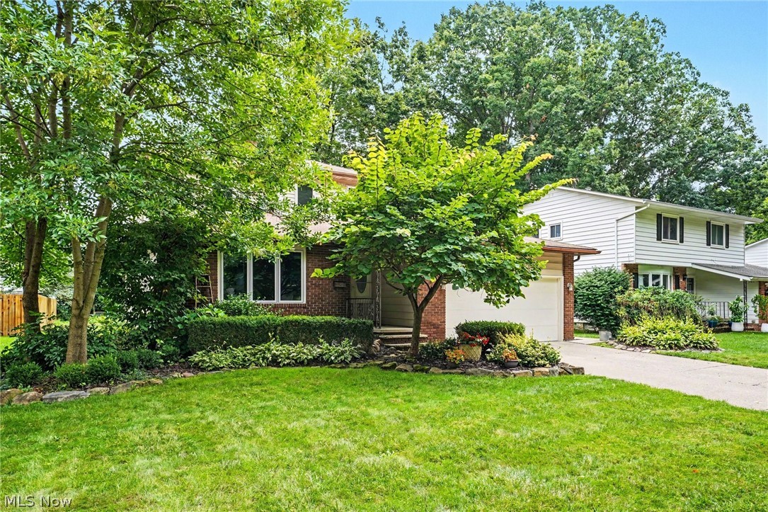 6557 Duneden Avenue Property Photo 1