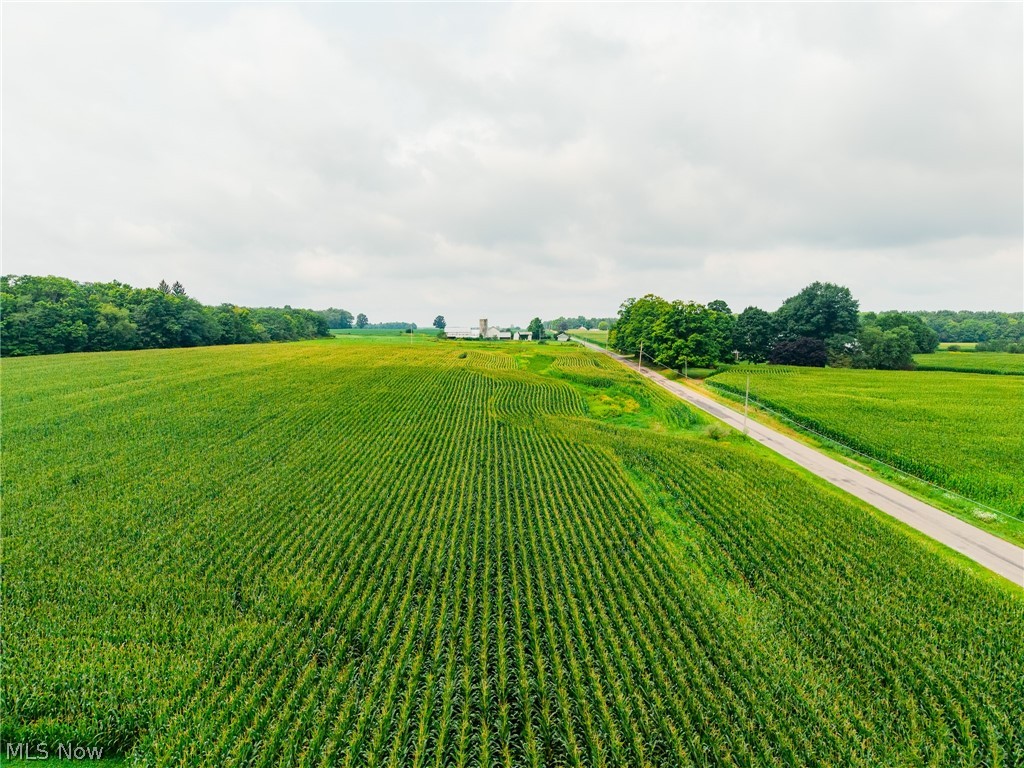 172 W County Line Road Property Photo 3