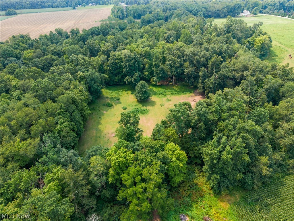 172 W County Line Road Property Photo 12