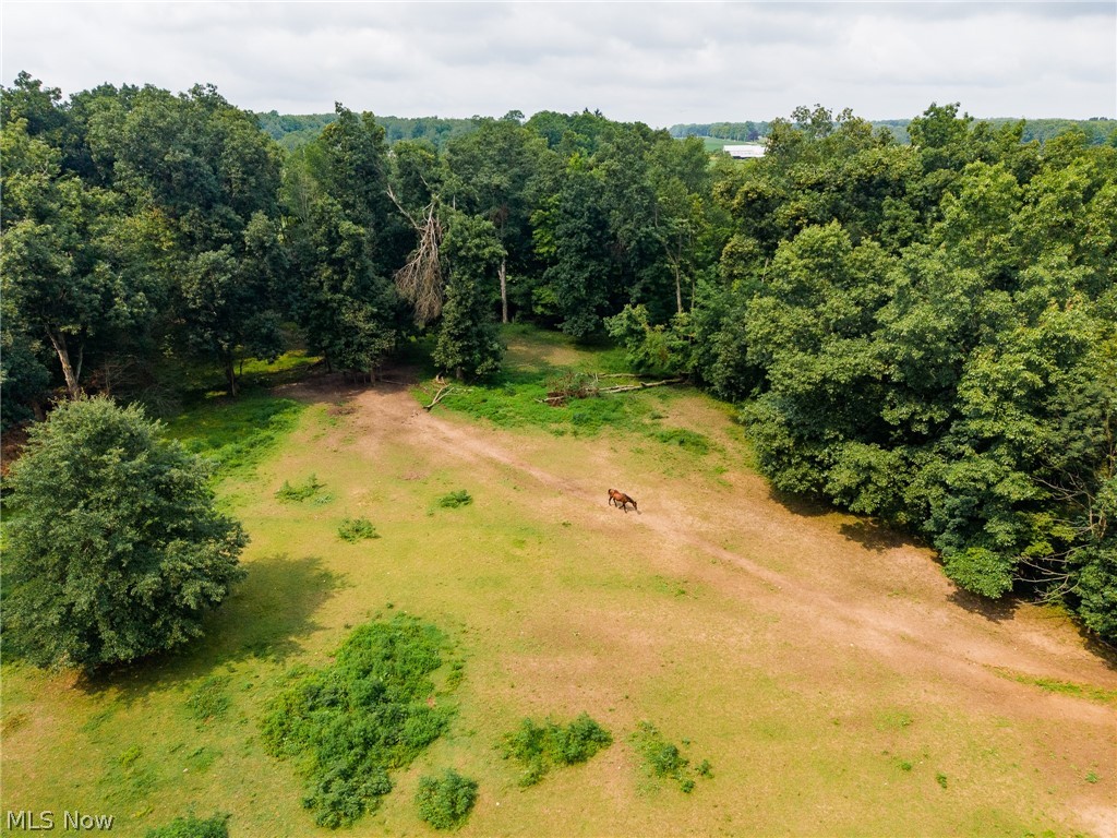 172 W County Line Road Property Photo 13