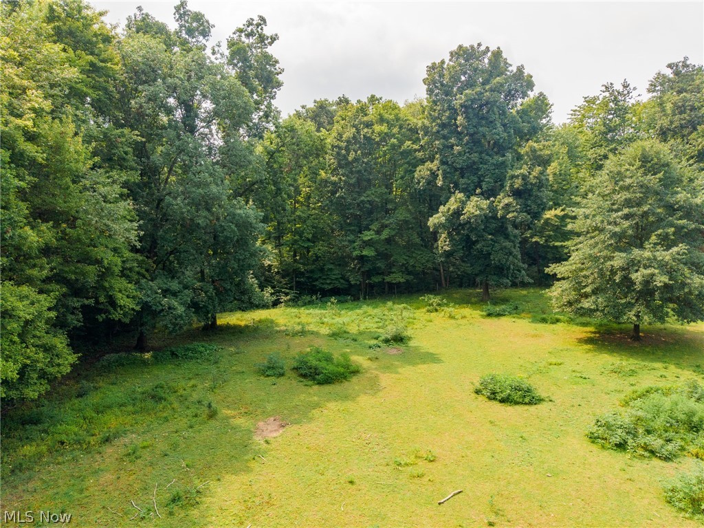 172 W County Line Road Property Photo 14