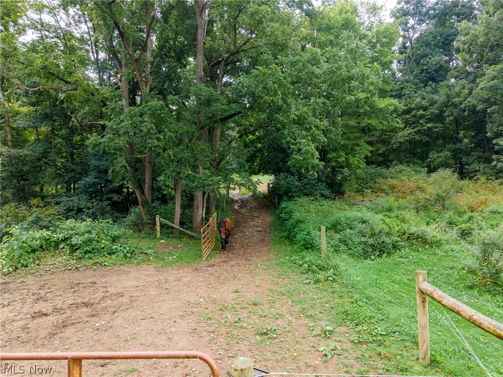 172 W County Line Road Property Photo 17