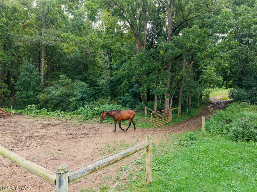 172 W County Line Road Property Photo 18