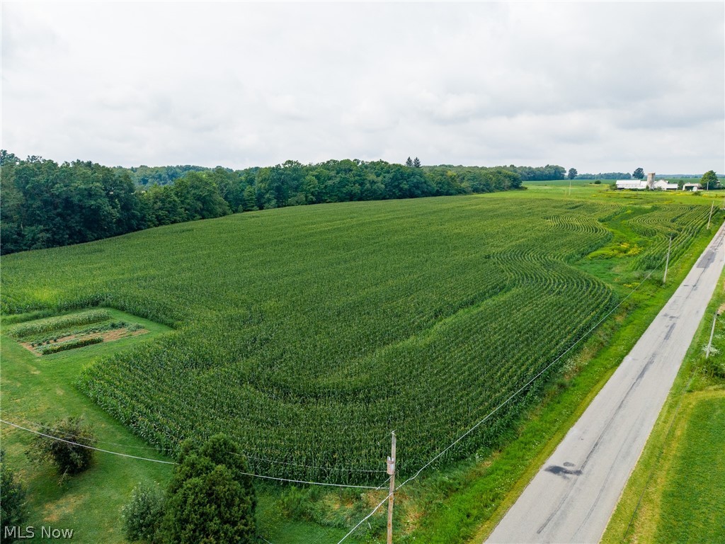 172 W County Line Road Property Photo 19