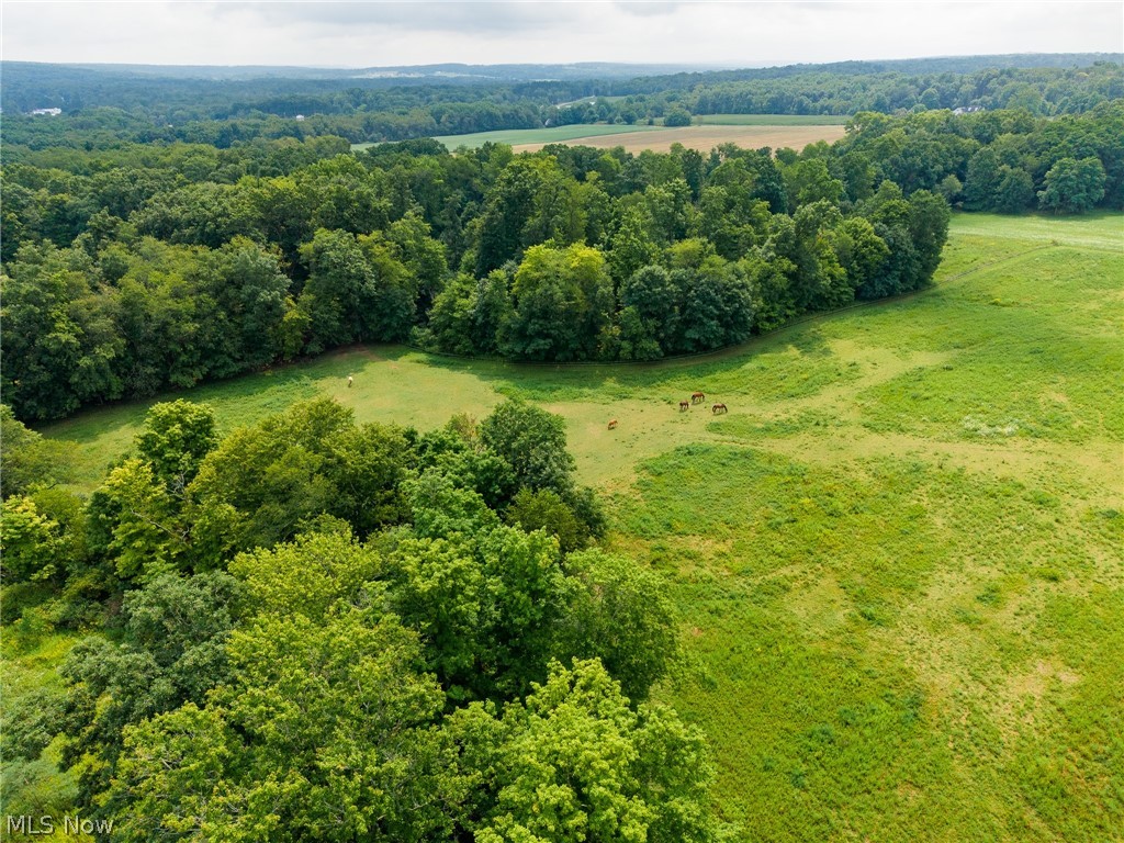 172 W County Line Road Property Photo 30