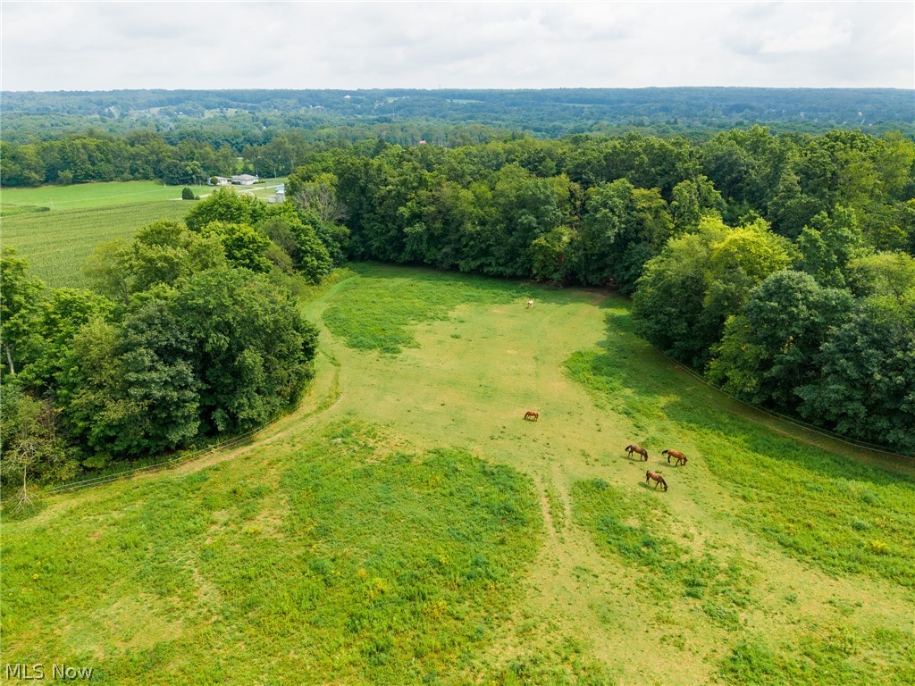 172 W County Line Road Property Photo 31
