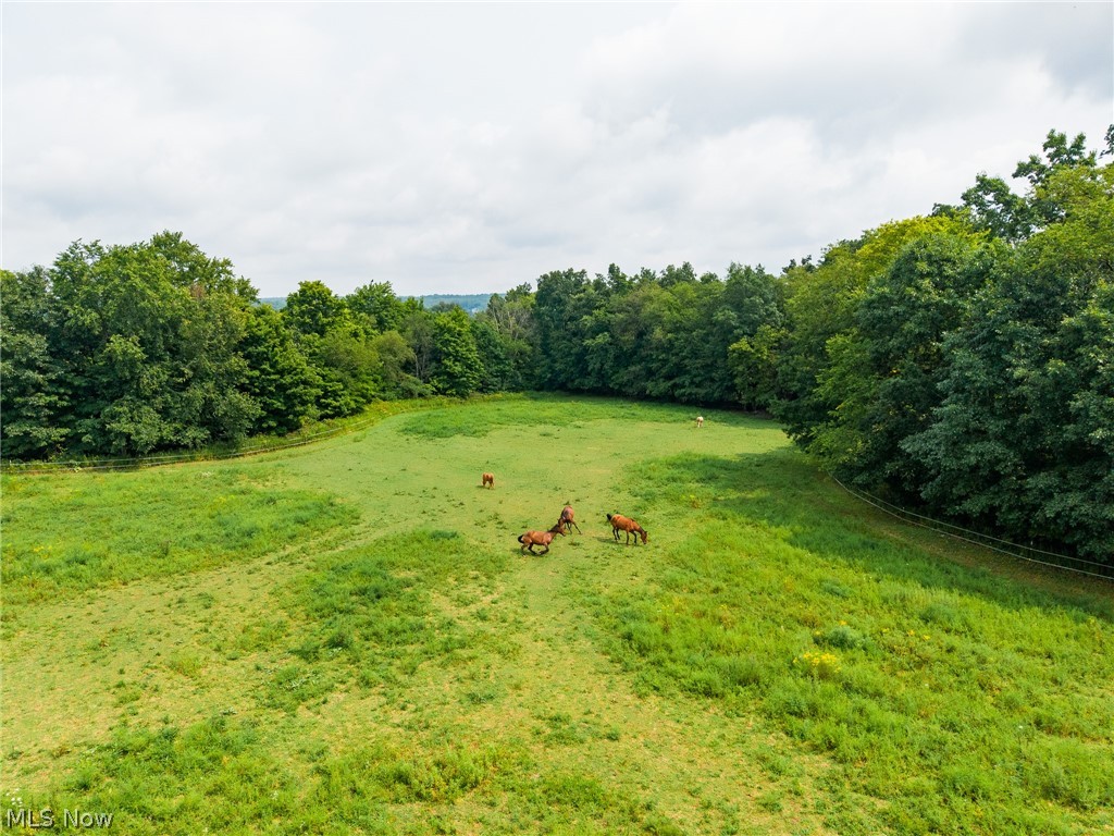 172 W County Line Road Property Photo 32