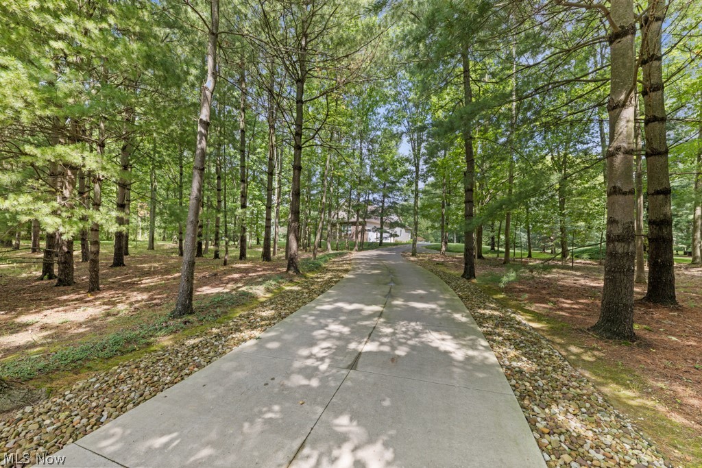 6595 Buffham Road Property Photo 47