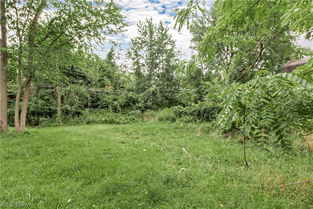 871 E 131 Street Property Photo 1