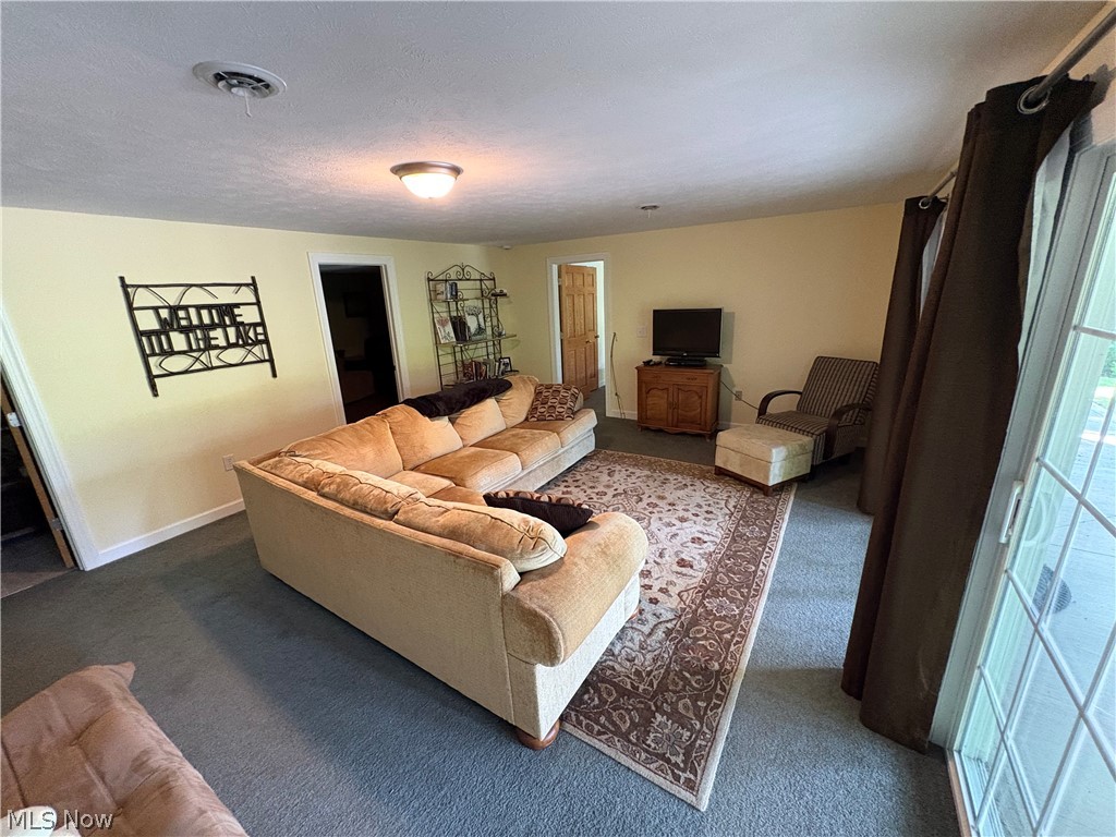 197 Ashtabula Point Property Photo 25