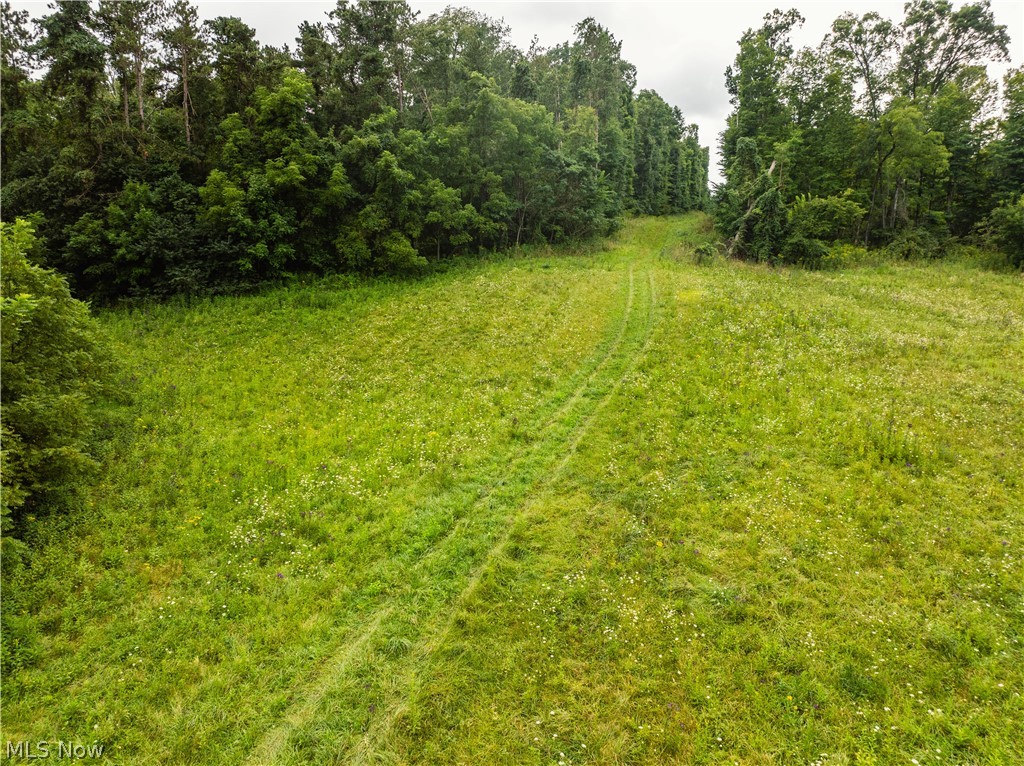 2428 Applegate Road Property Photo 7