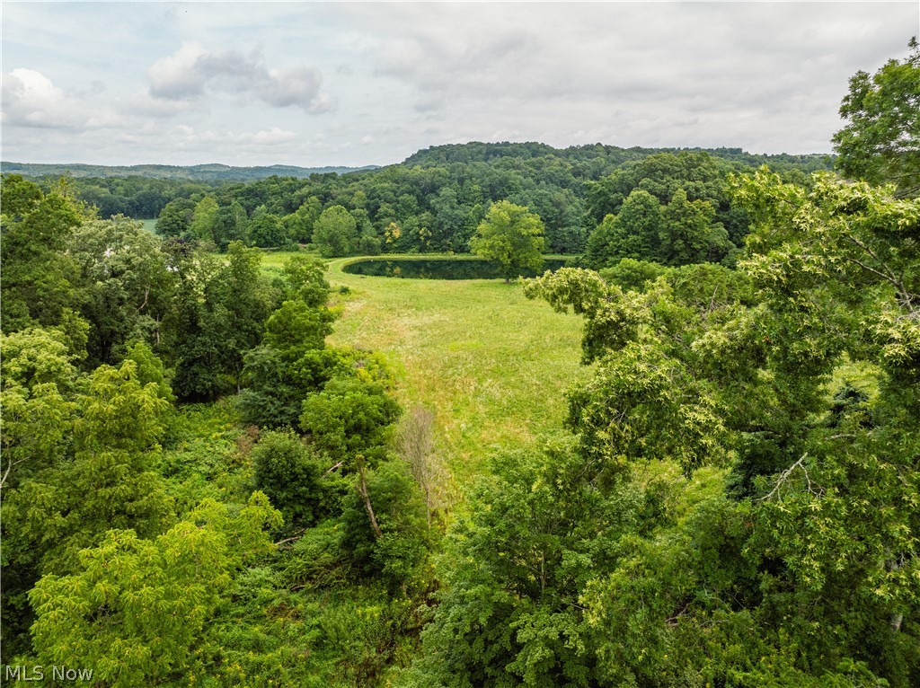 2428 Applegate Road Property Photo 10