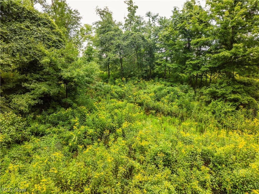 2428 Applegate Road Property Photo 11