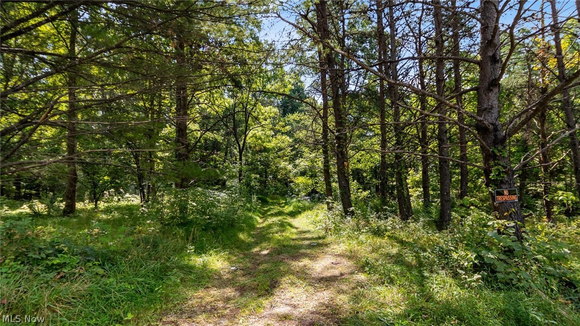 3508 Left Fork Road Property Photo 2