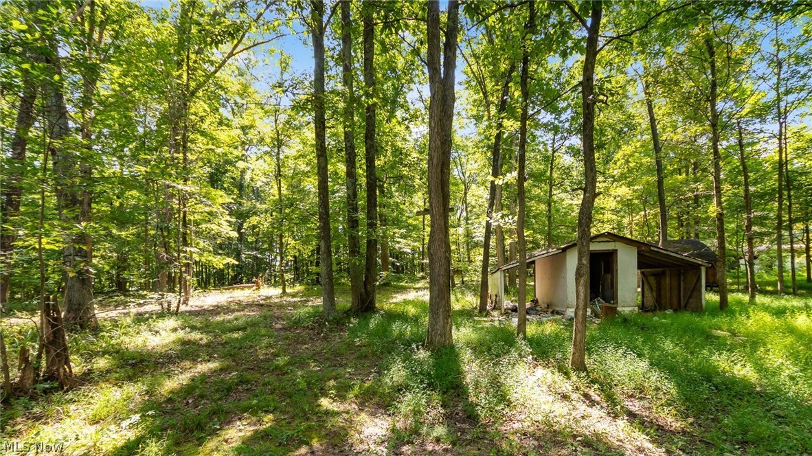 3508 Left Fork Road Property Photo 3