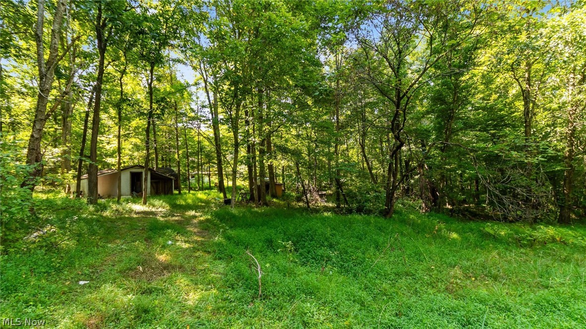 3508 Left Fork Road Property Photo 4