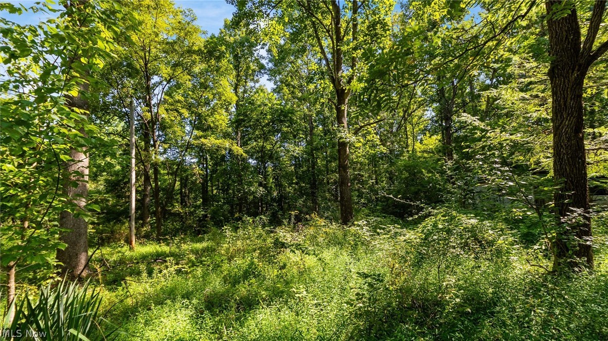 3508 Left Fork Road Property Photo 5
