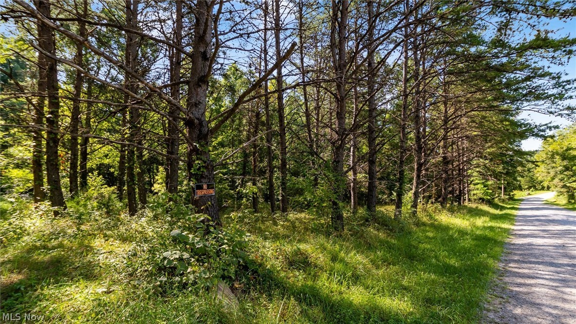 3508 Left Fork Road Property Photo 6