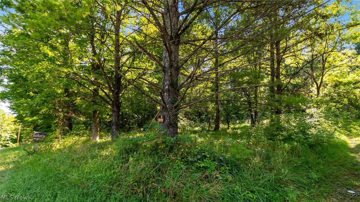 3508 Left Fork Road Property Photo 7