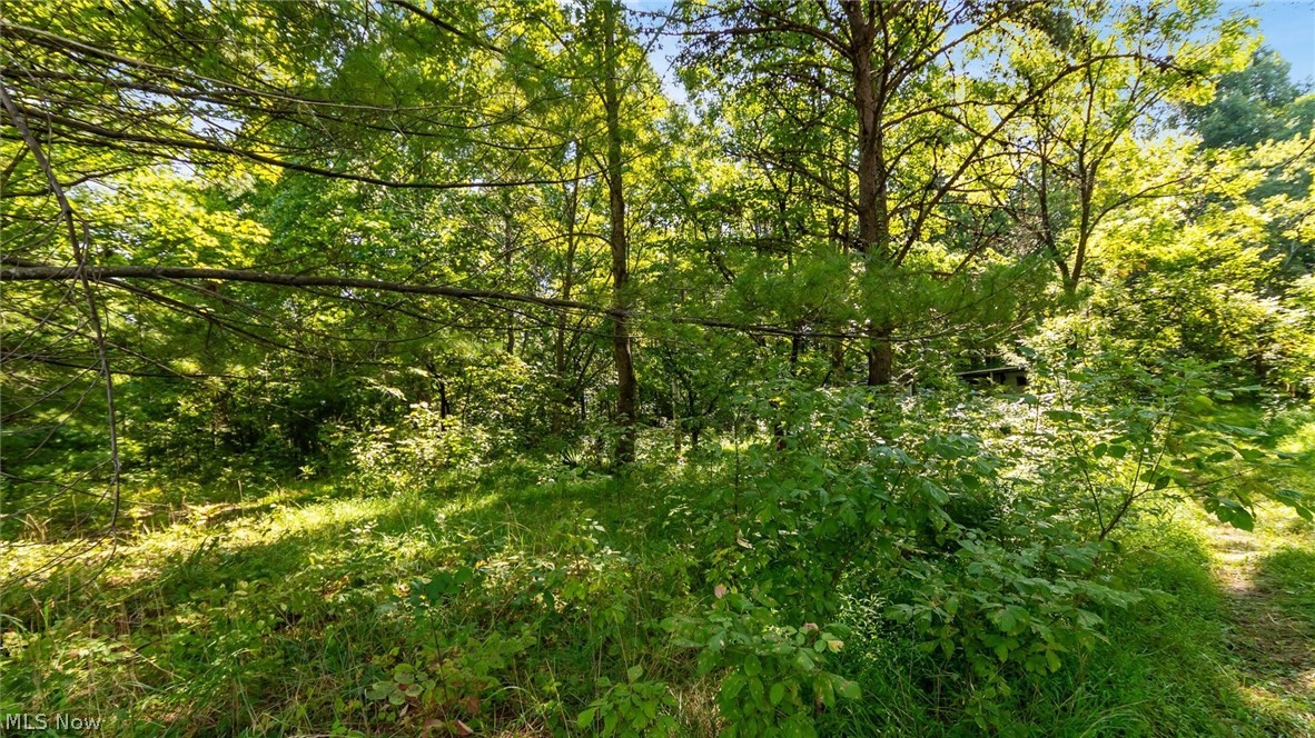 3508 Left Fork Road Property Photo 8