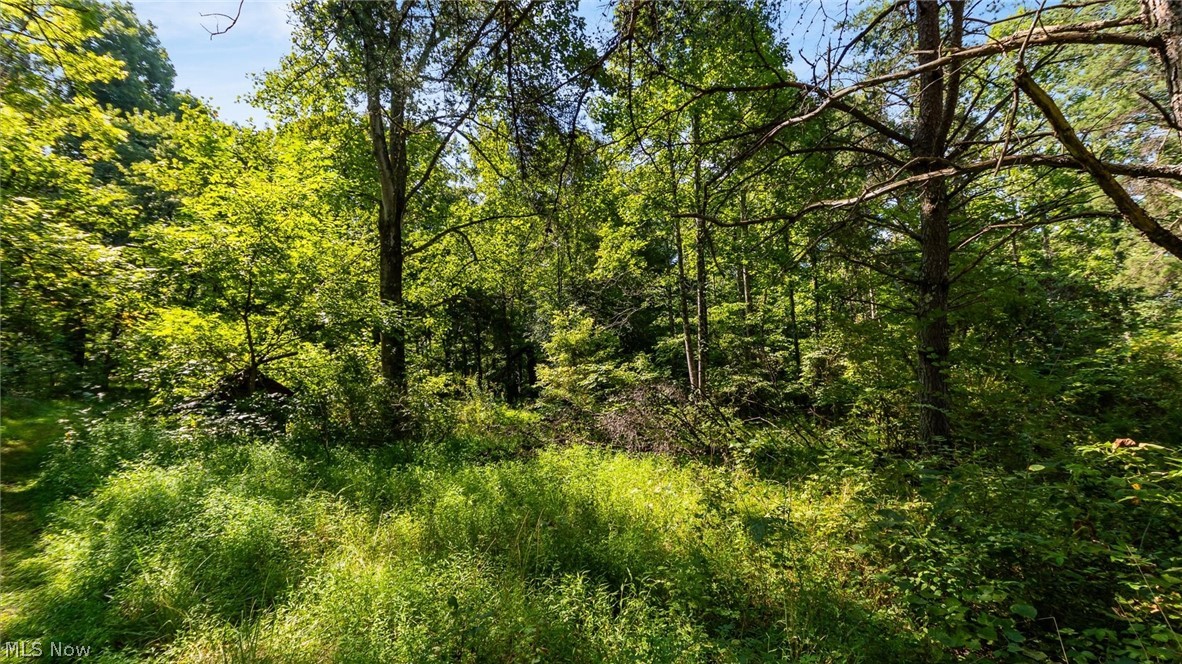 3508 Left Fork Road Property Photo 9