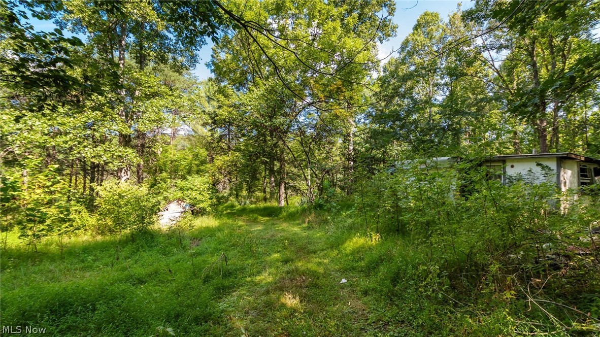 3508 Left Fork Road Property Photo 10