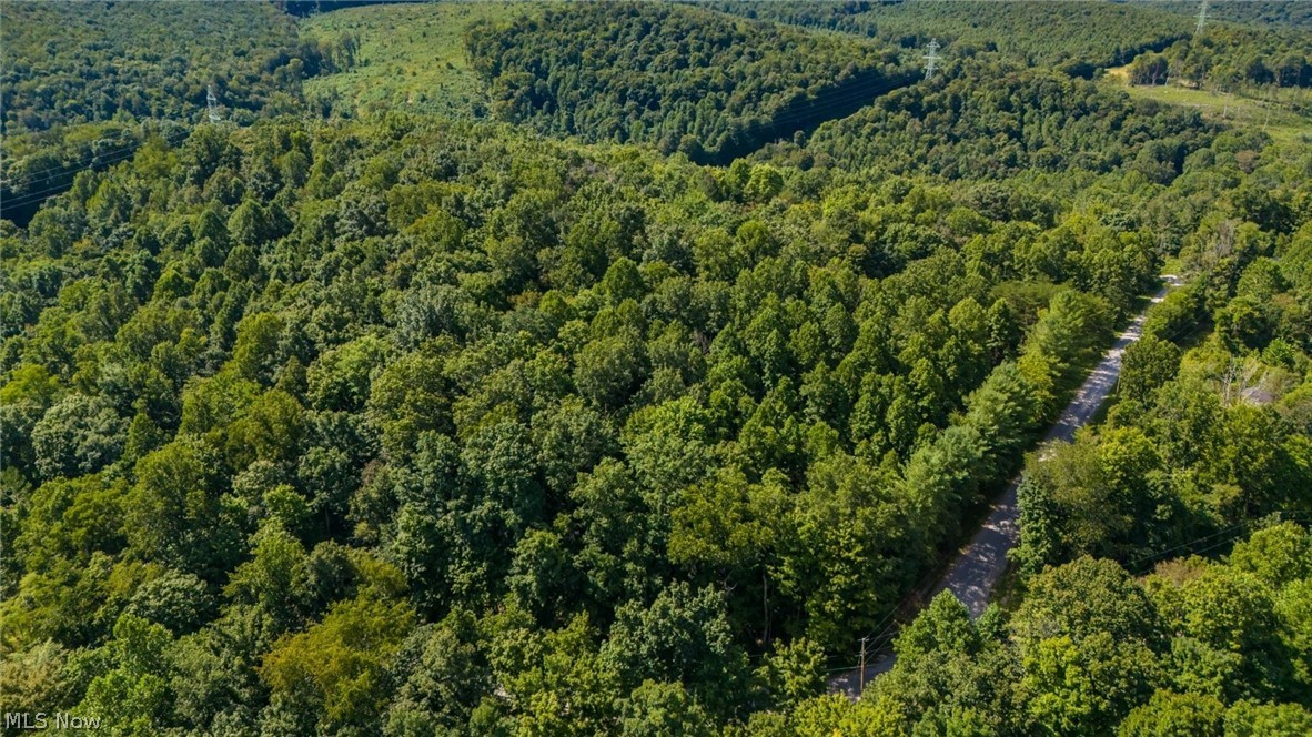 3508 Left Fork Road Property Photo 11