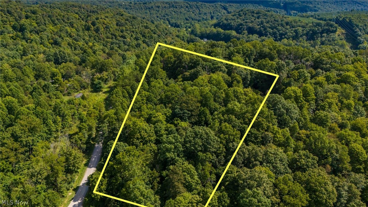 3508 Left Fork Road Property Photo 12