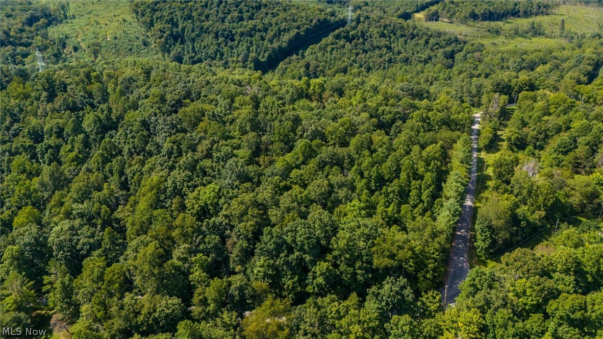 3508 Left Fork Road Property Photo 13