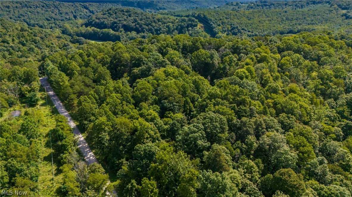 3508 Left Fork Road Property Photo 14