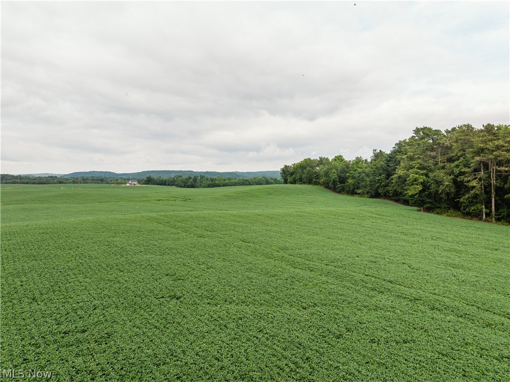 2428 Applegate Road Property Photo 8