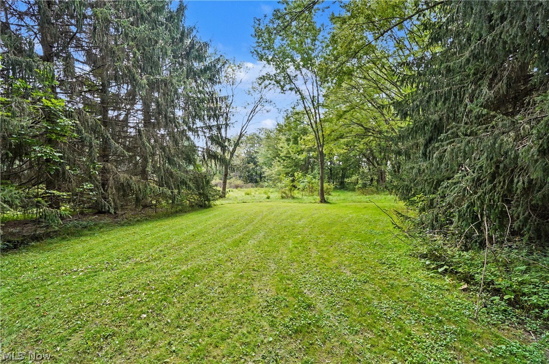 3690 Waterloo Road Property Photo 17