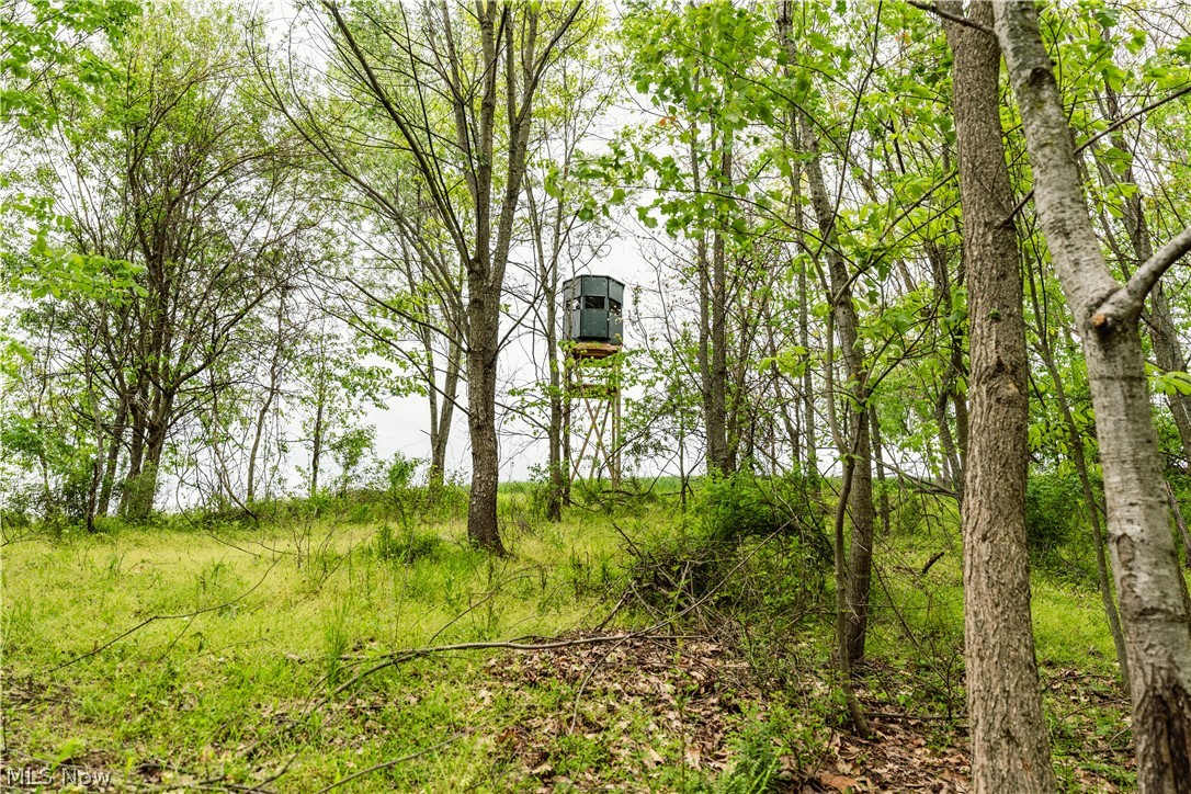 Tr 240 Property Photo 8