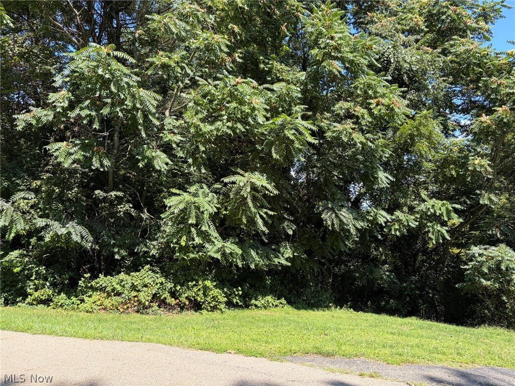 0 Pleasant View Drive Property Photo 2