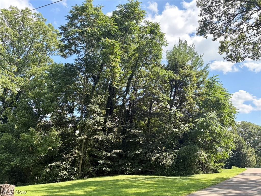 0 Pleasant View Drive Property Photo 3