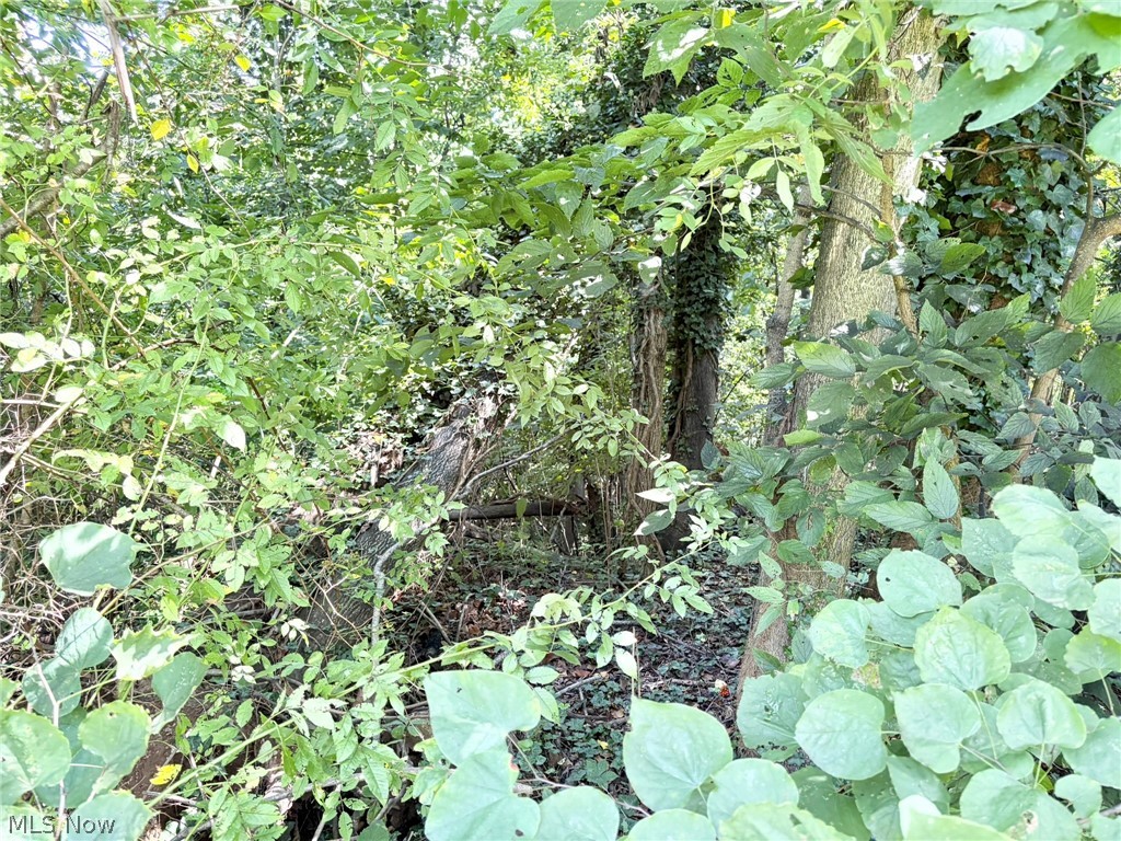 0 Pleasant View Drive Property Photo 11