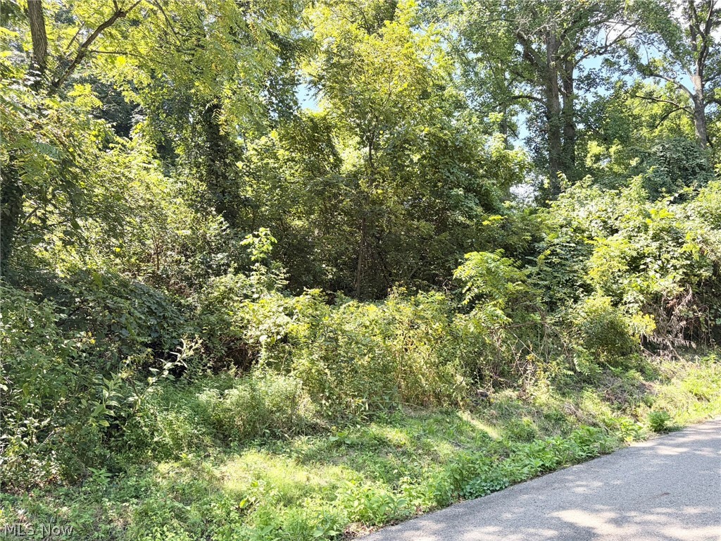 0 Pleasant View Drive Property Photo 12