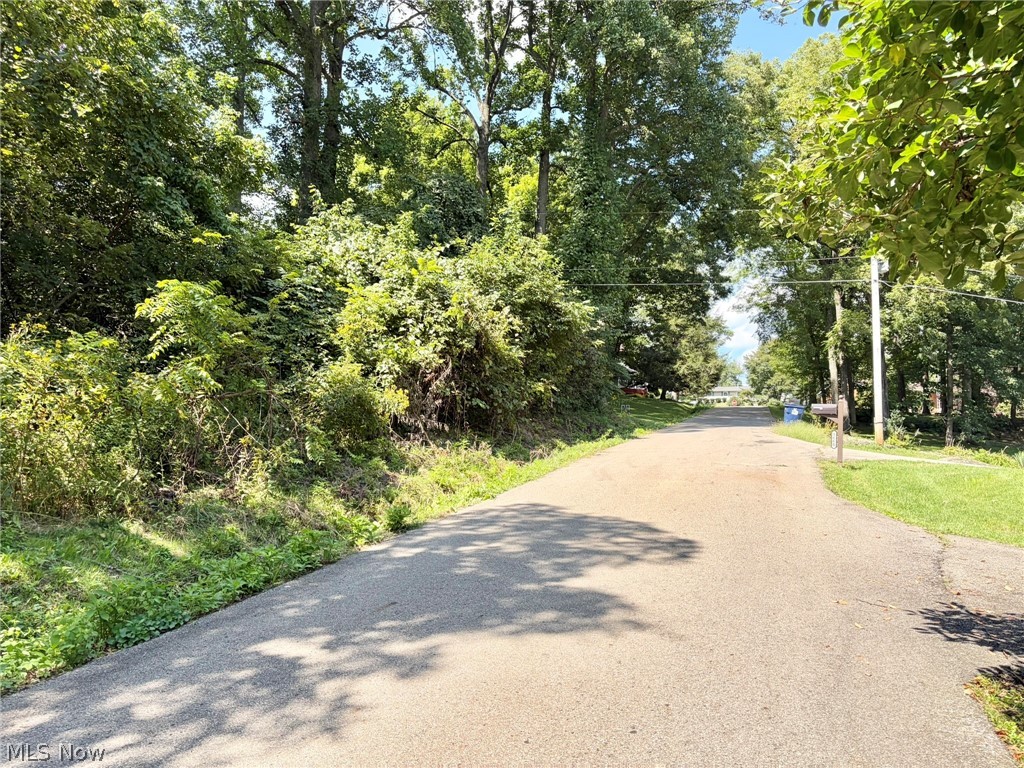 0 Pleasant View Drive Property Photo 13
