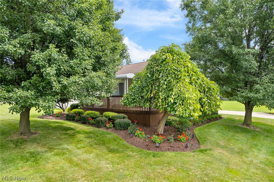 543 Edith Avenue Property Photo 2
