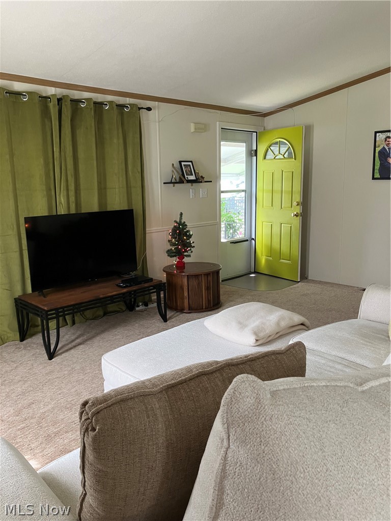 9 Corktree Drive Property Photo 8