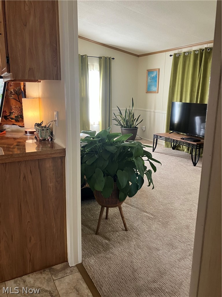9 Corktree Drive Property Photo 10