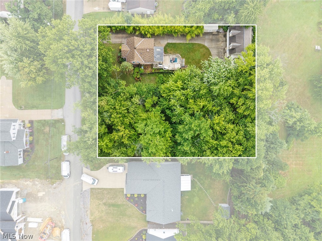 Morris Road Property Photo 3
