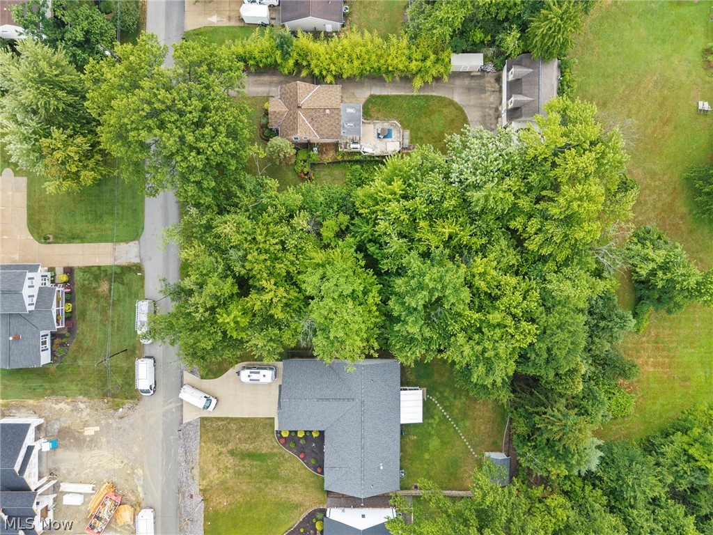 Morris Road Property Photo 4