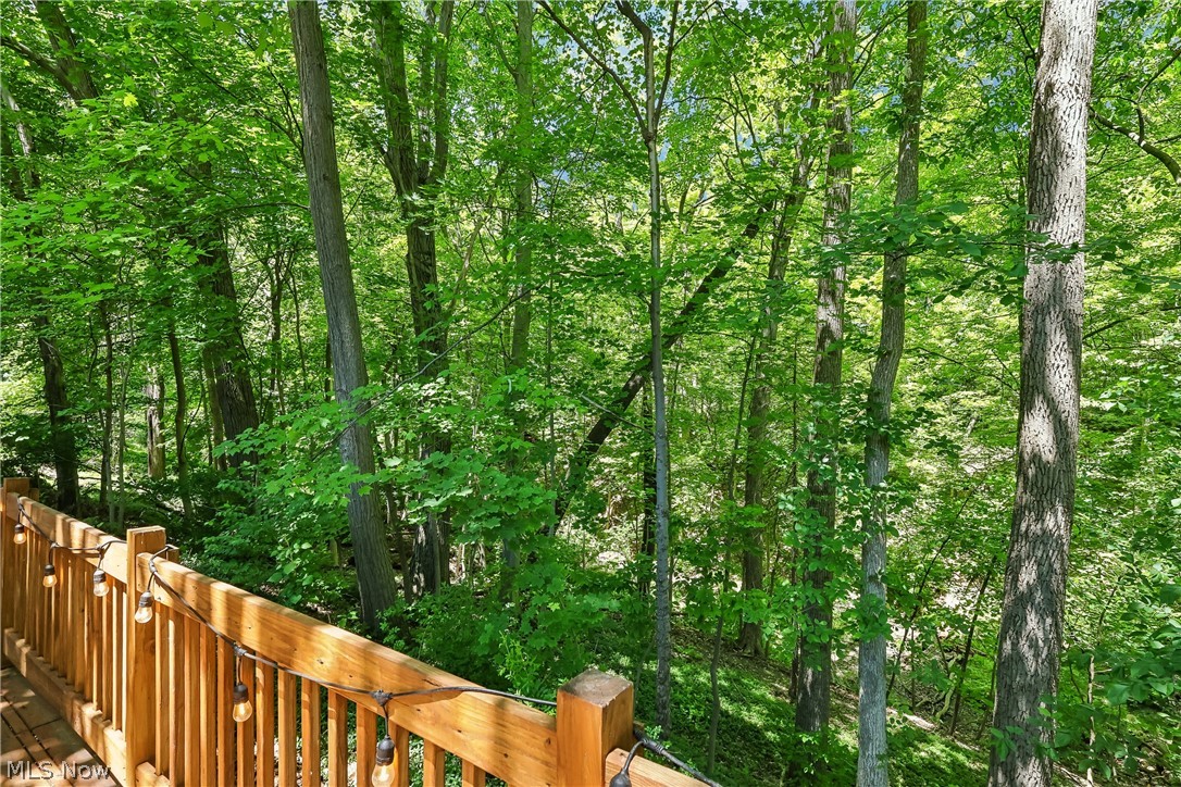 1593 Kingsley Avenue Property Photo 33
